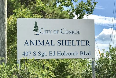 Conroe animal shelter - Search Our Animals. Pet Resources. Search Our Animals. 612 Canino Rd. Houston, TX 77076. We are located on Canino Road between I-45 and the Hardy Toll Road. Phone Hours: (281) 999-3191. Monday – Friday: 9 am – 6 pm. Adoption Hours: 1 pm - 5:30 pm Monday - Friday 11 am - 3:30 pm Saturday - Sunday No adoption appointment needed.